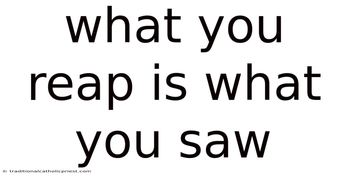 What You Reap Is What You Saw