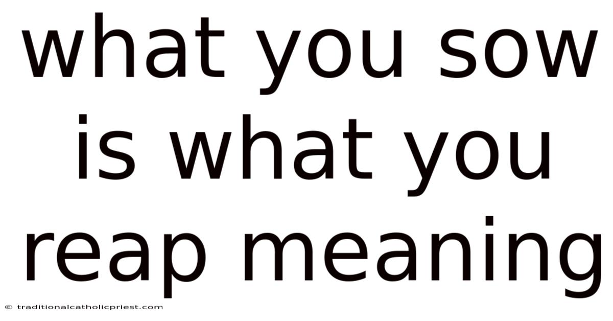 What You Sow Is What You Reap Meaning