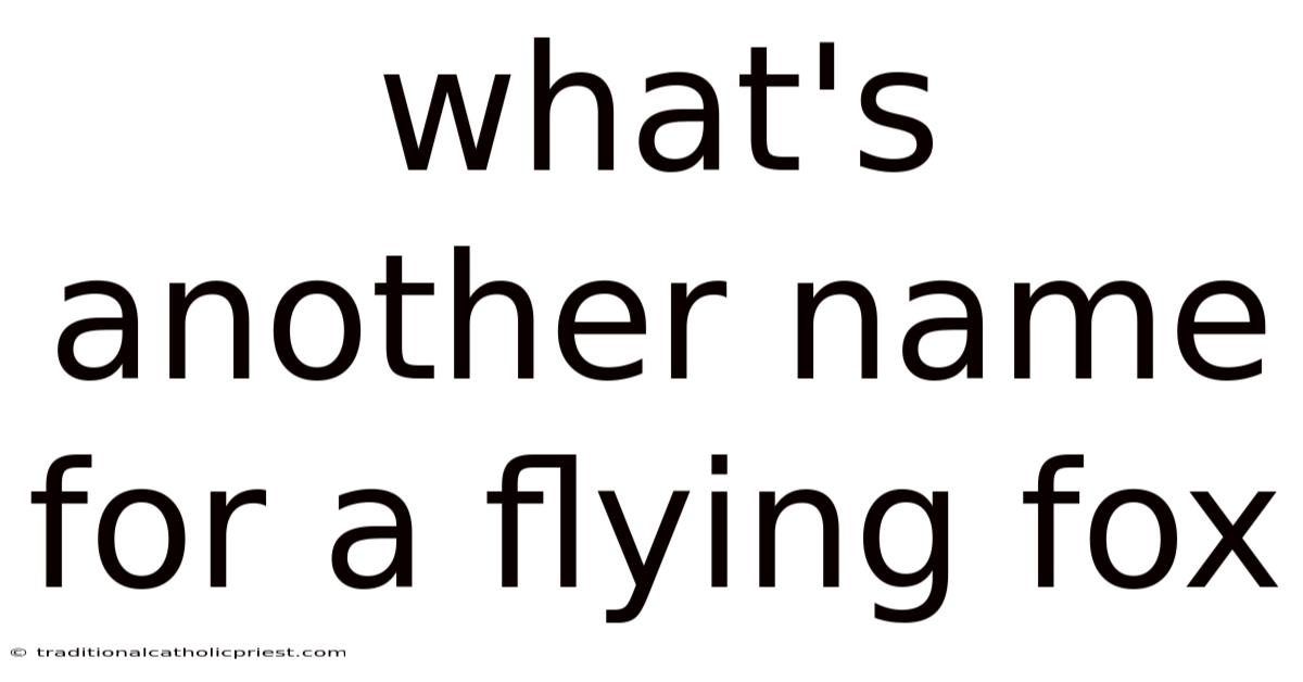 What's Another Name For A Flying Fox