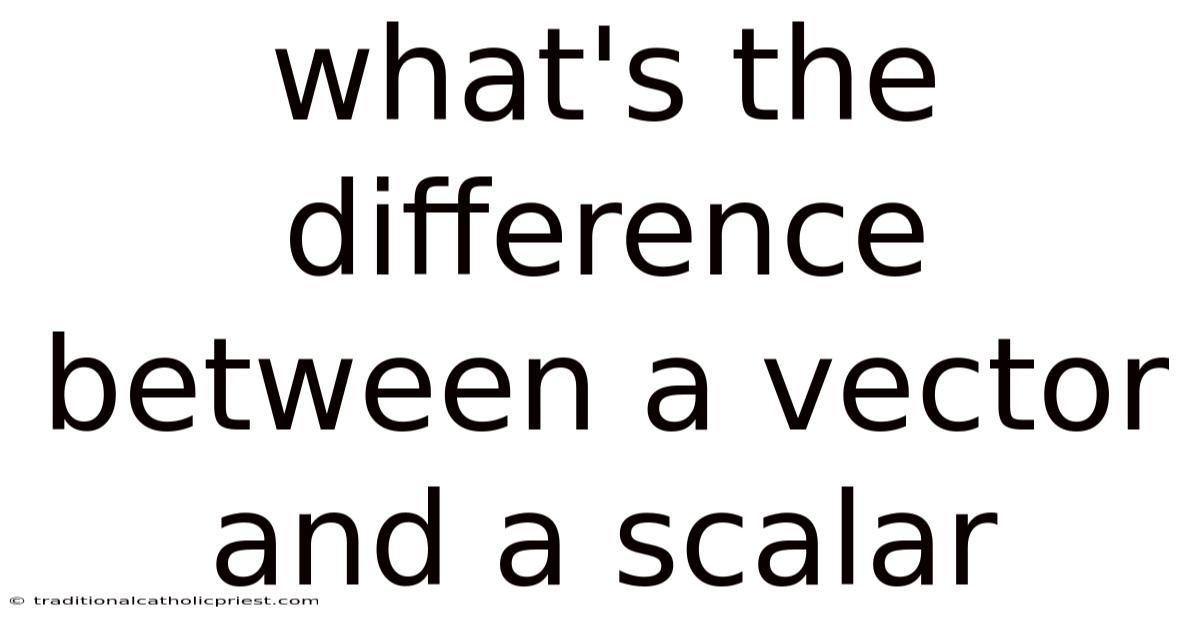 What's The Difference Between A Vector And A Scalar