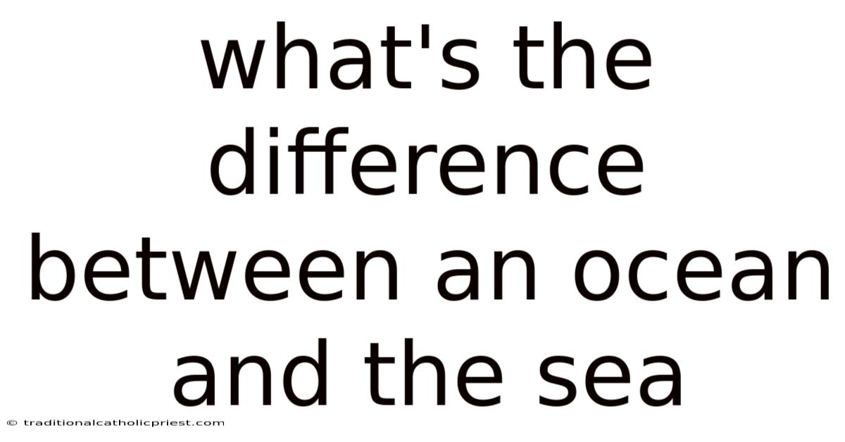What's The Difference Between An Ocean And The Sea