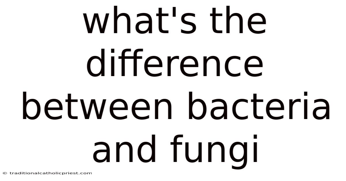 What's The Difference Between Bacteria And Fungi