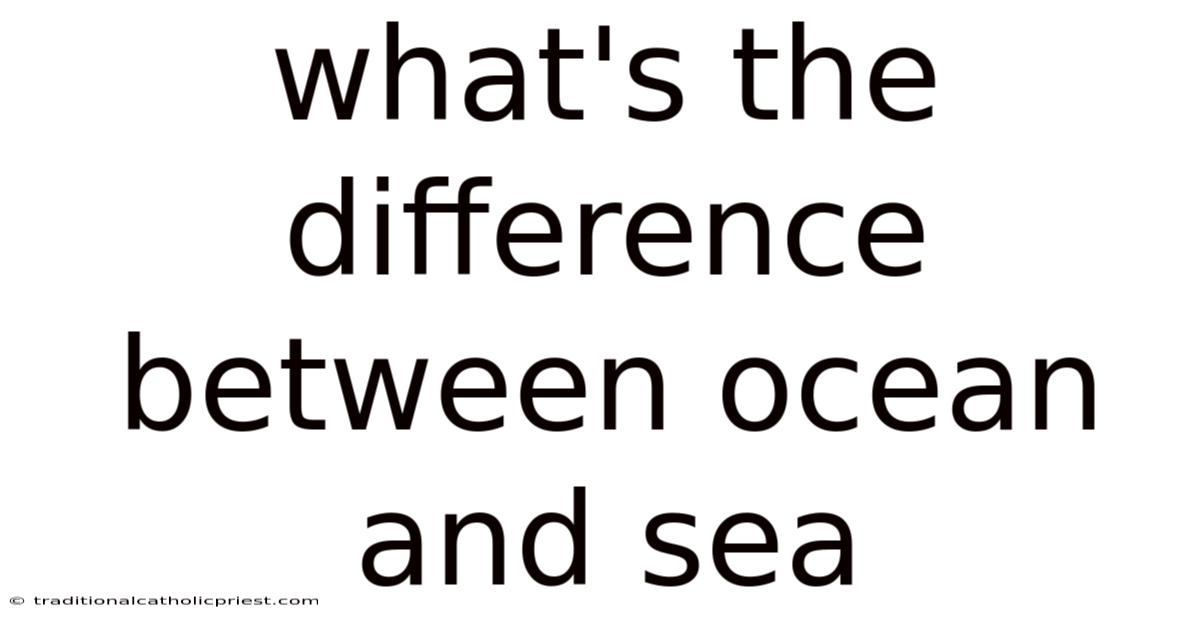 What's The Difference Between Ocean And Sea