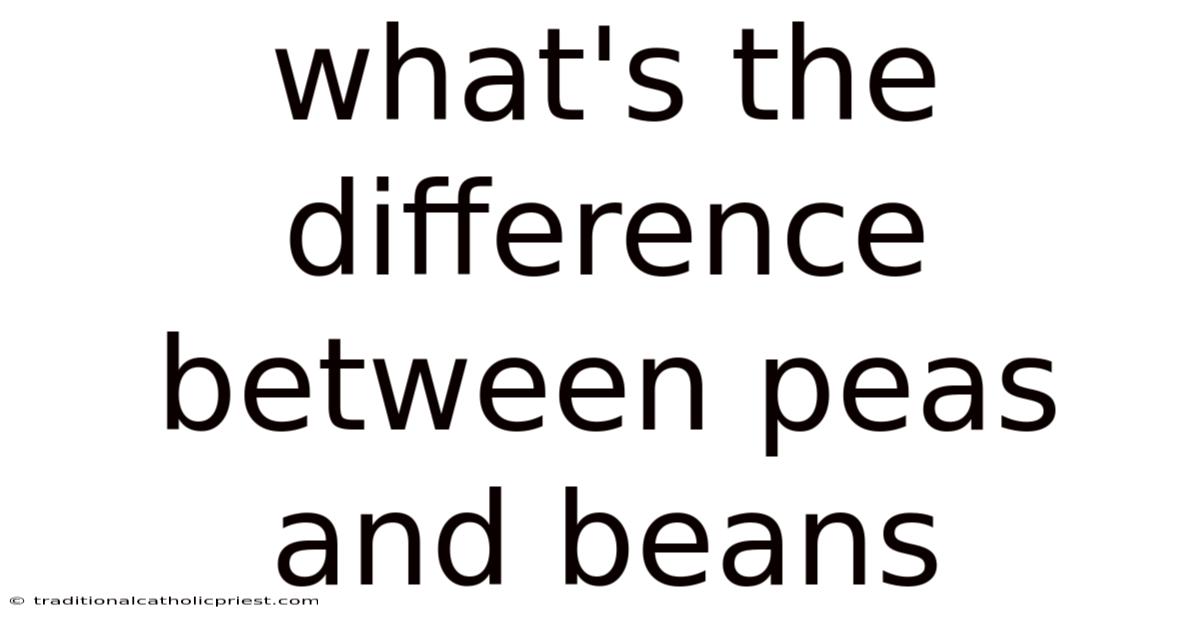 What's The Difference Between Peas And Beans