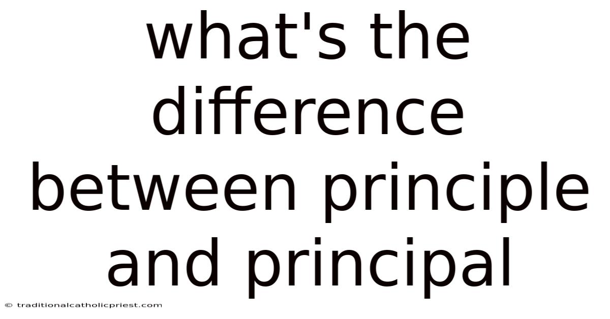 What's The Difference Between Principle And Principal