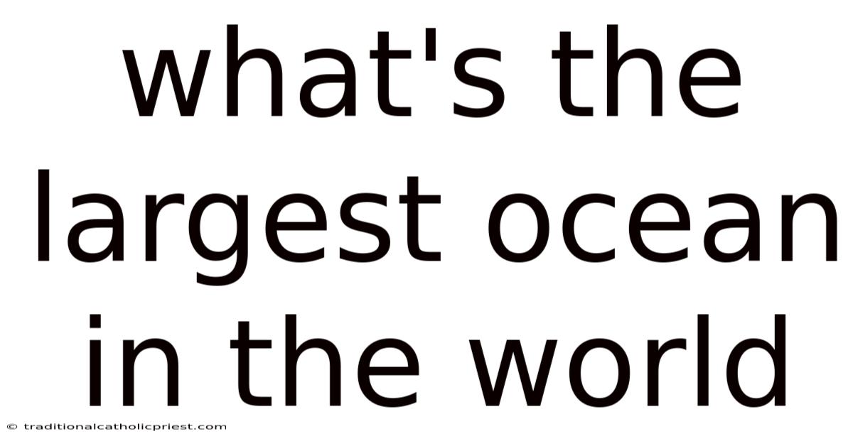 What's The Largest Ocean In The World