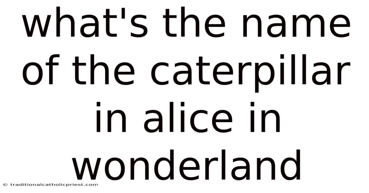 What's The Name Of The Caterpillar In Alice In Wonderland