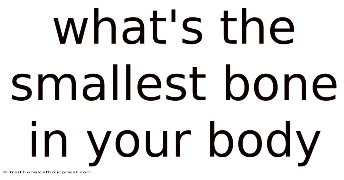 What's The Smallest Bone In Your Body
