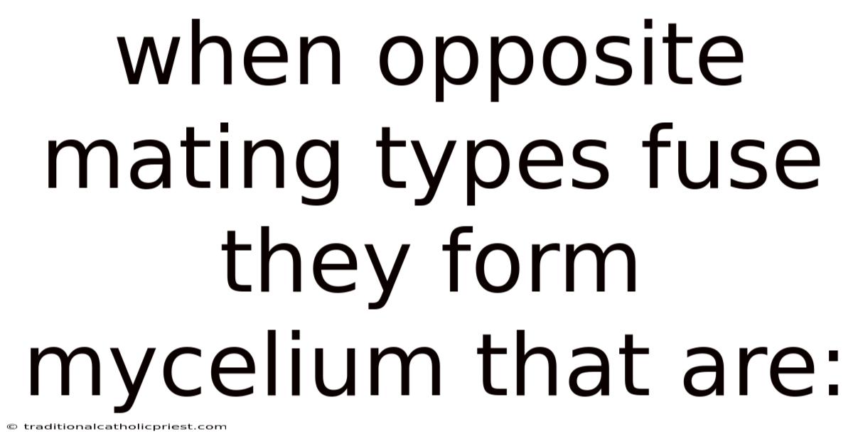 When Opposite Mating Types Fuse They Form Mycelium That Are: