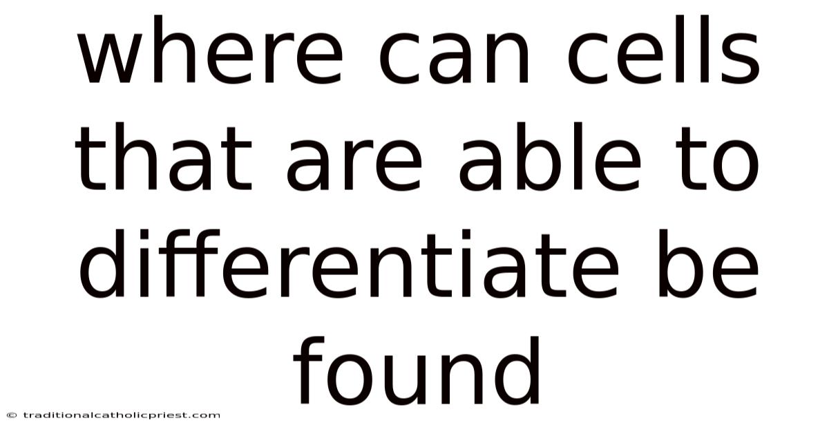 Where Can Cells That Are Able To Differentiate Be Found