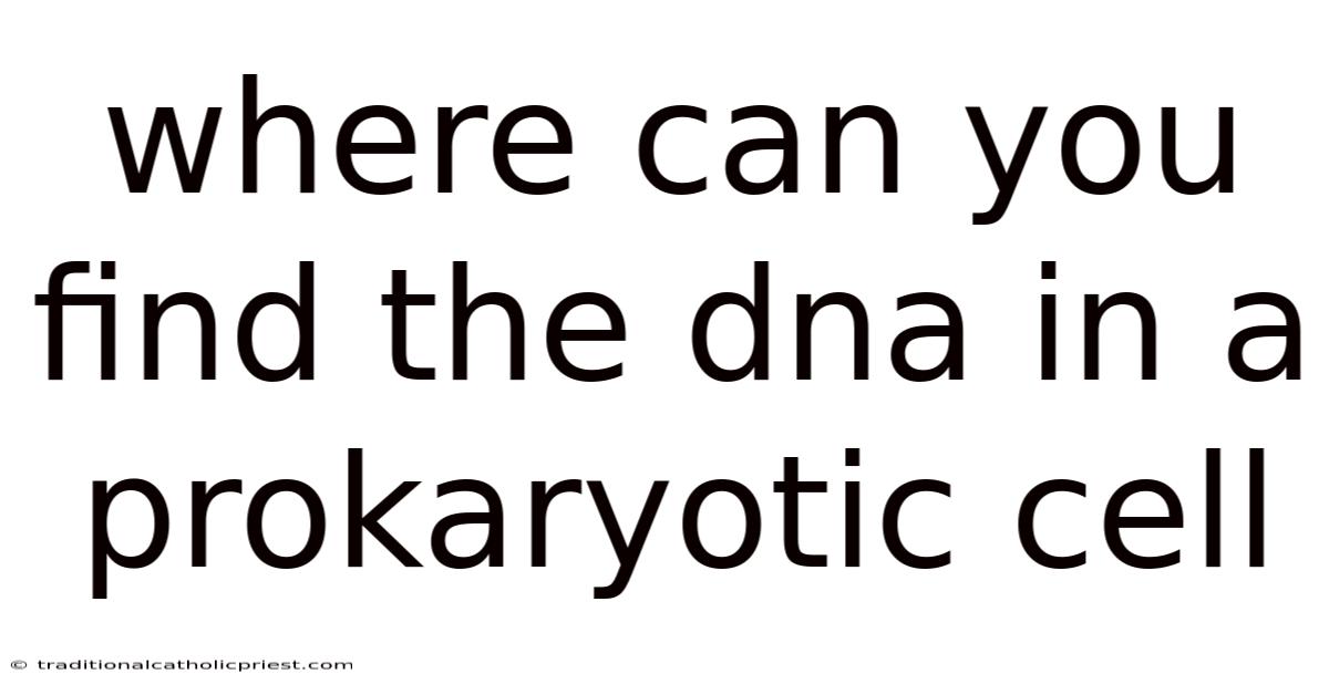 Where Can You Find The Dna In A Prokaryotic Cell