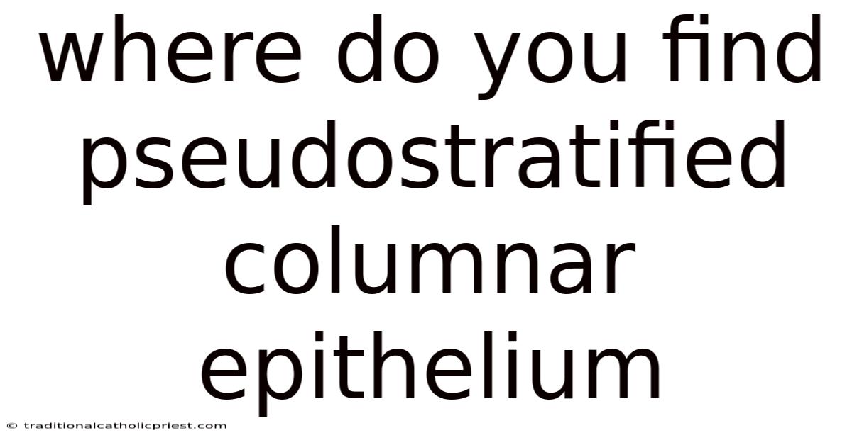 Where Do You Find Pseudostratified Columnar Epithelium