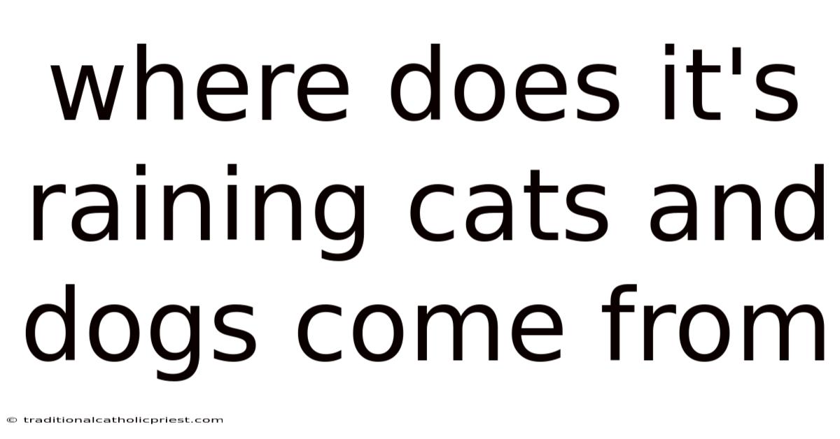 Where Does It's Raining Cats And Dogs Come From
