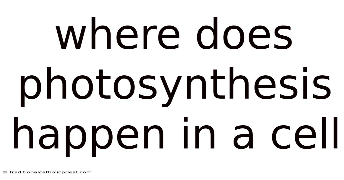 Where Does Photosynthesis Happen In A Cell