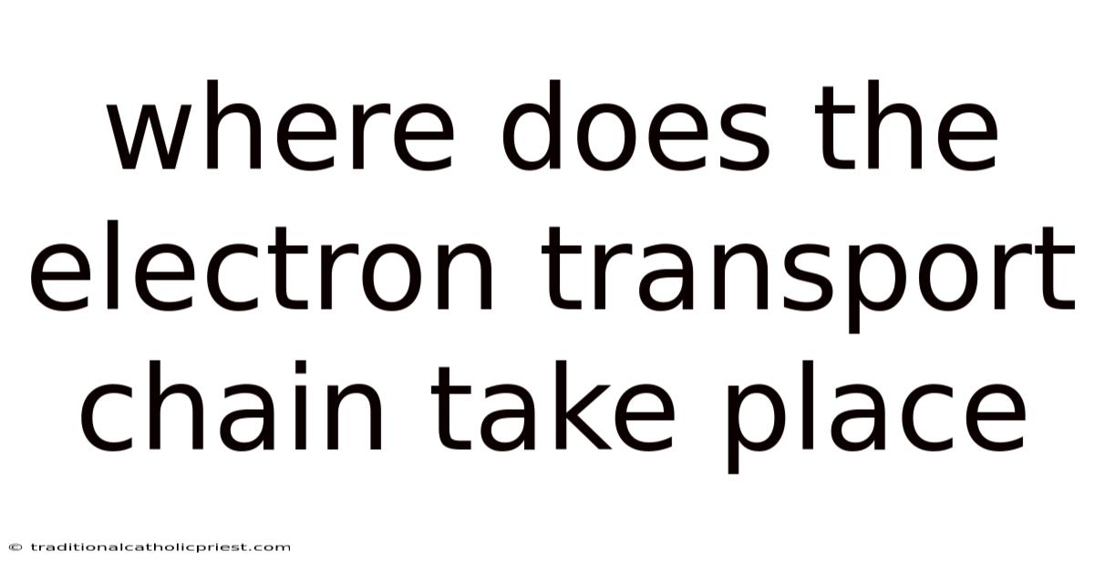 Where Does The Electron Transport Chain Take Place