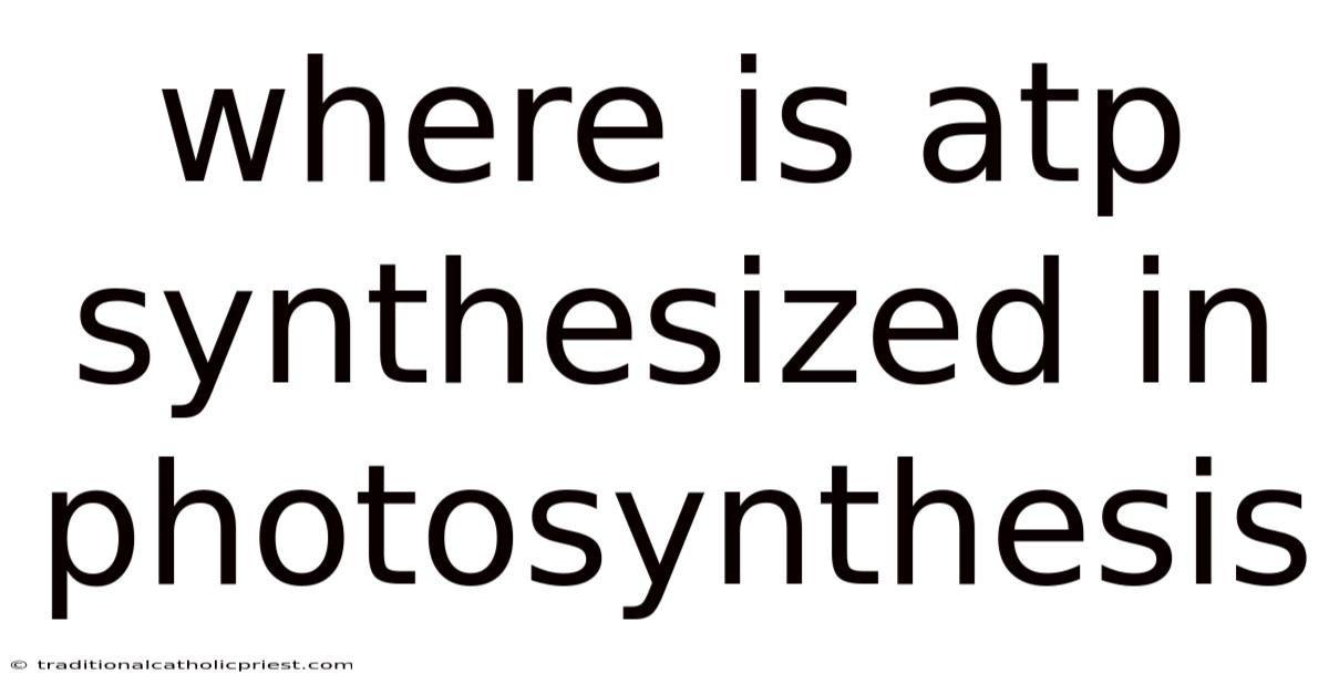 Where Is Atp Synthesized In Photosynthesis