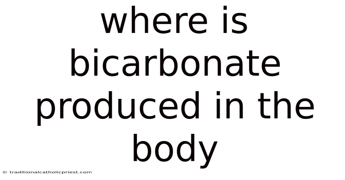 Where Is Bicarbonate Produced In The Body
