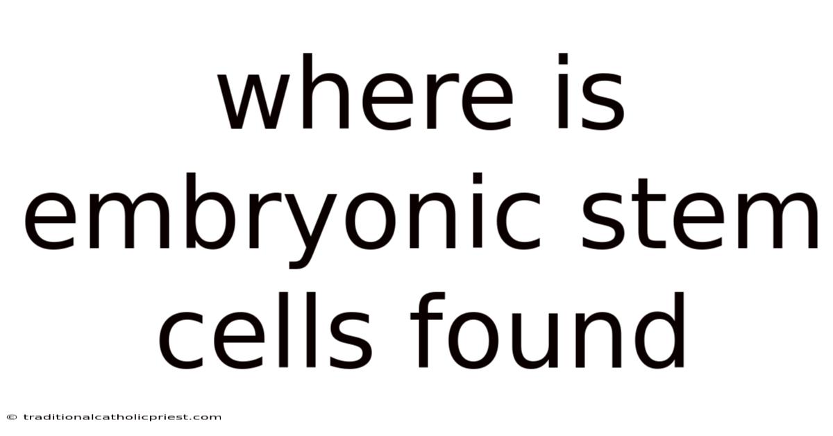 Where Is Embryonic Stem Cells Found