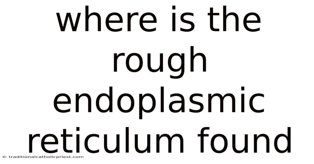 Where Is The Rough Endoplasmic Reticulum Found