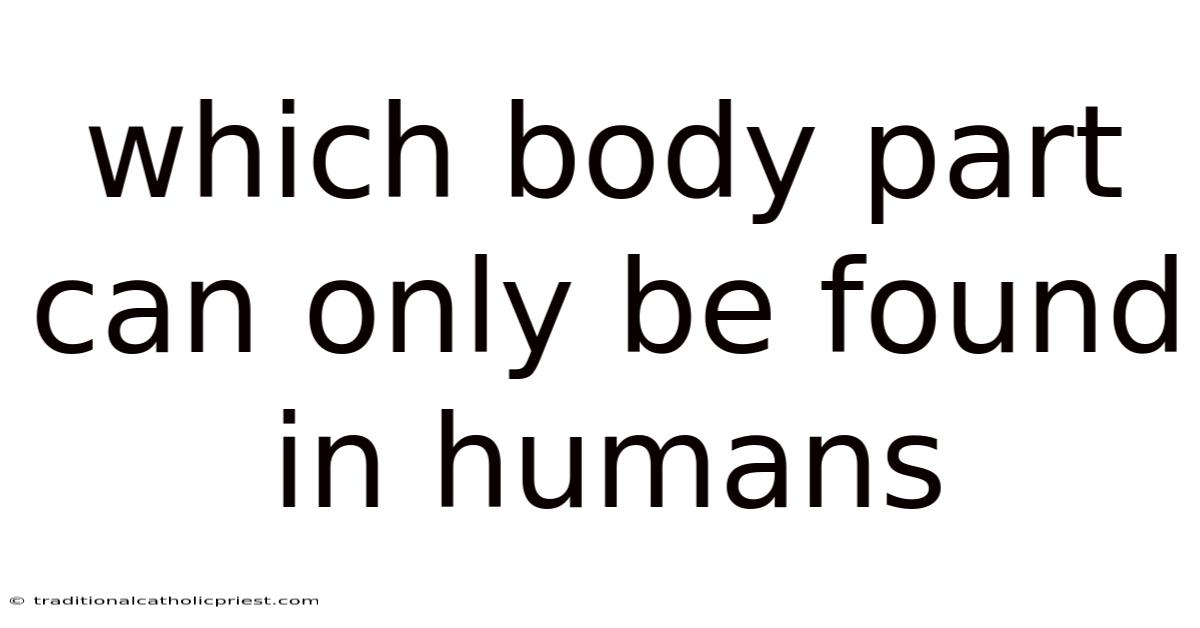 Which Body Part Can Only Be Found In Humans