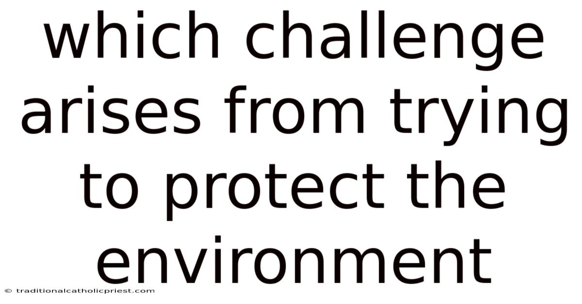 Which Challenge Arises From Trying To Protect The Environment