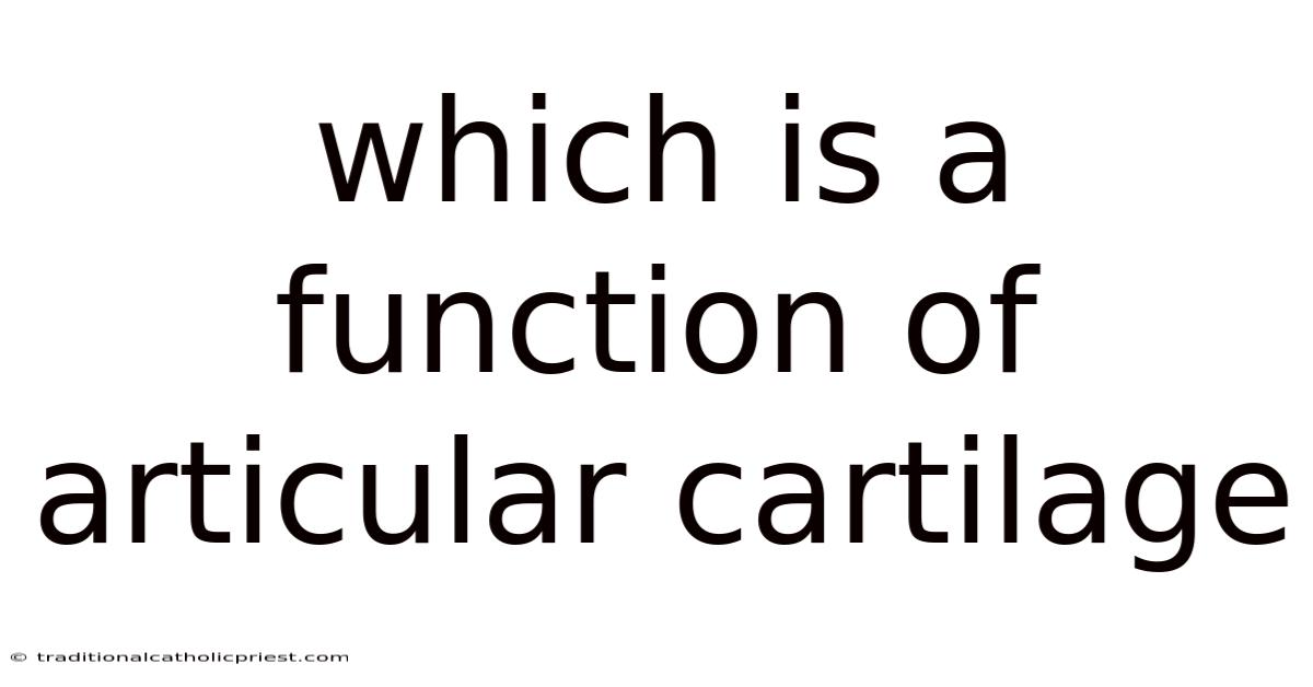 Which Is A Function Of Articular Cartilage