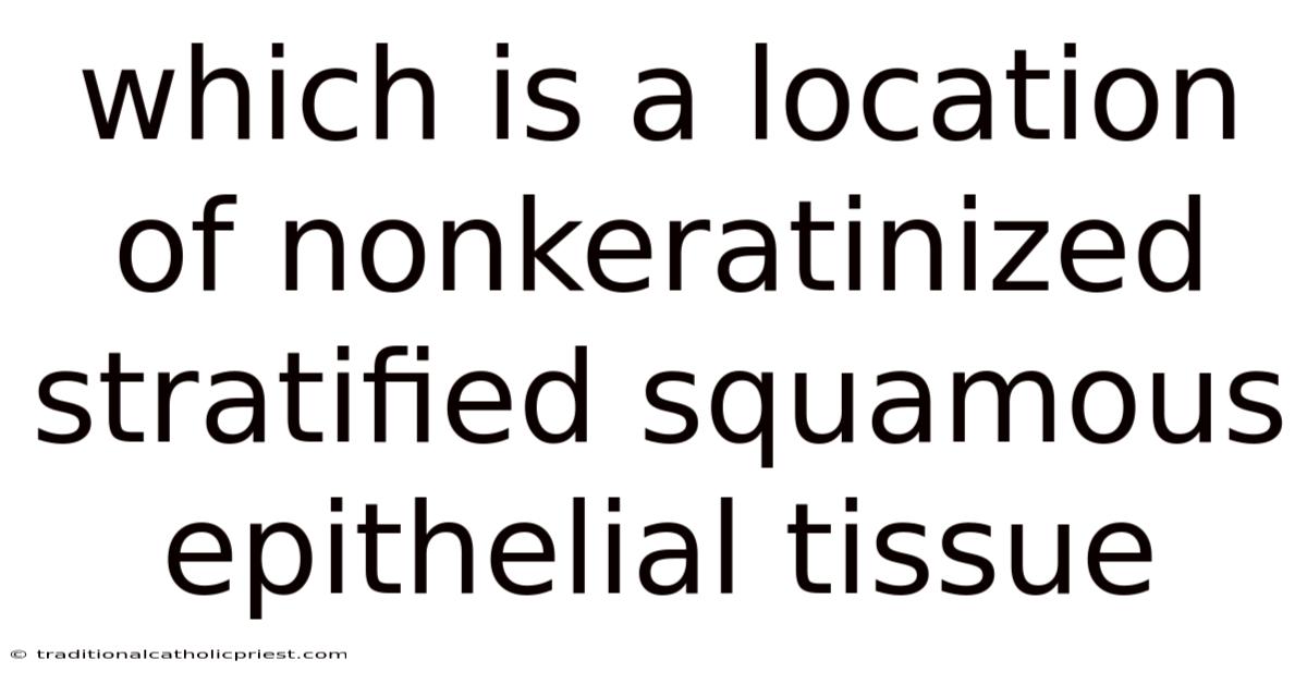 Which Is A Location Of Nonkeratinized Stratified Squamous Epithelial Tissue