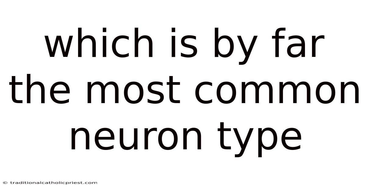 Which Is By Far The Most Common Neuron Type