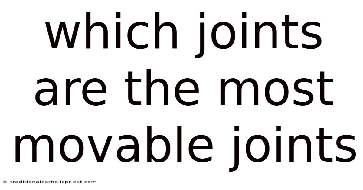 Which Joints Are The Most Movable Joints
