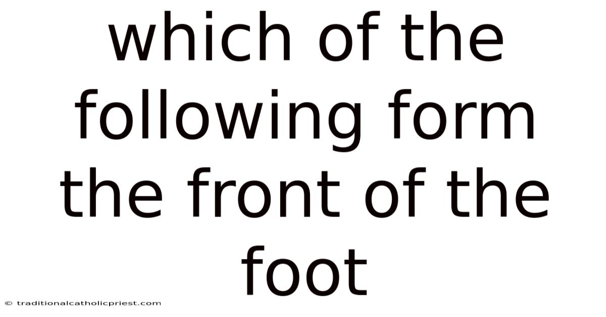 Which Of The Following Form The Front Of The Foot