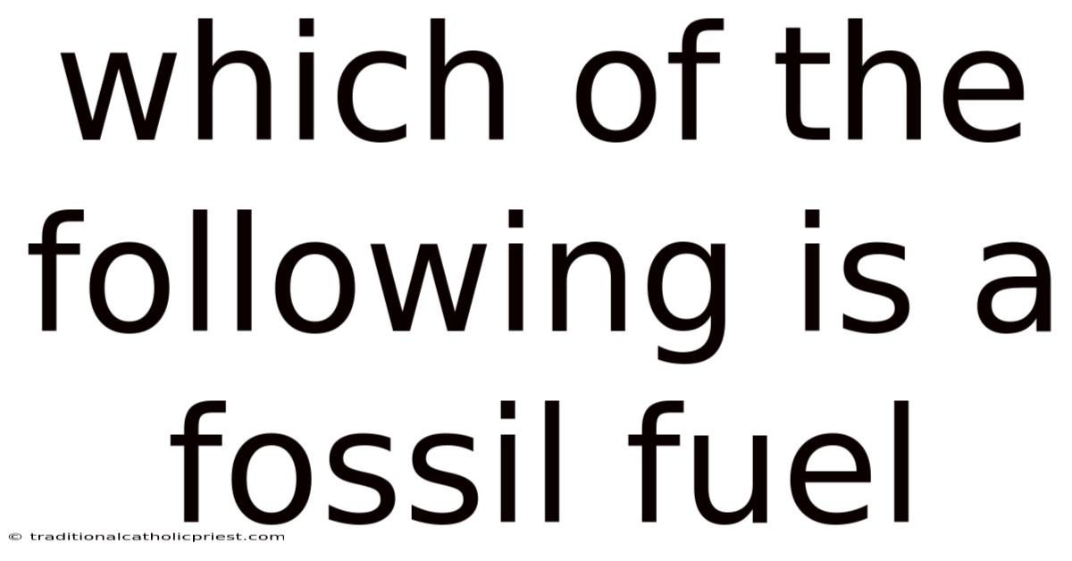 Which Of The Following Is A Fossil Fuel