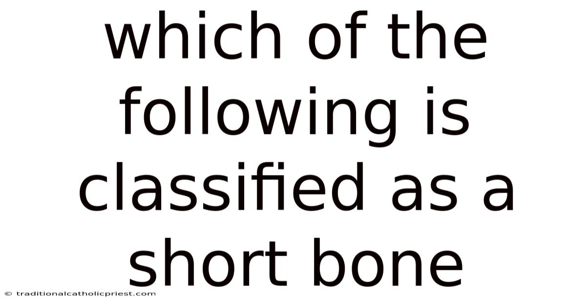 Which Of The Following Is Classified As A Short Bone