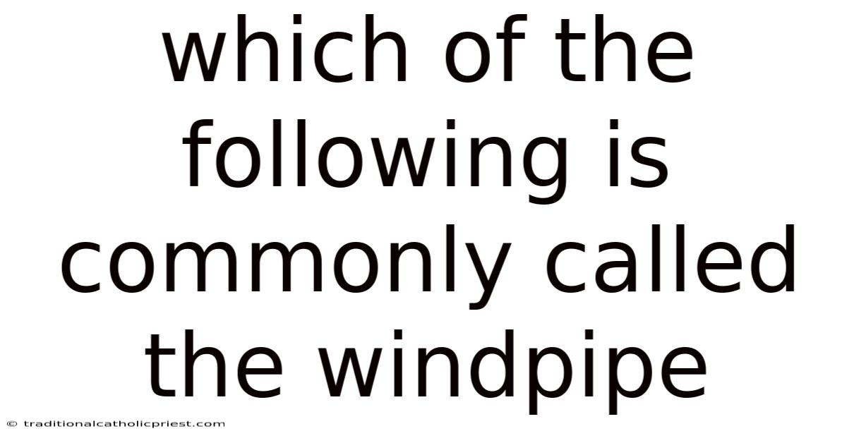 Which Of The Following Is Commonly Called The Windpipe