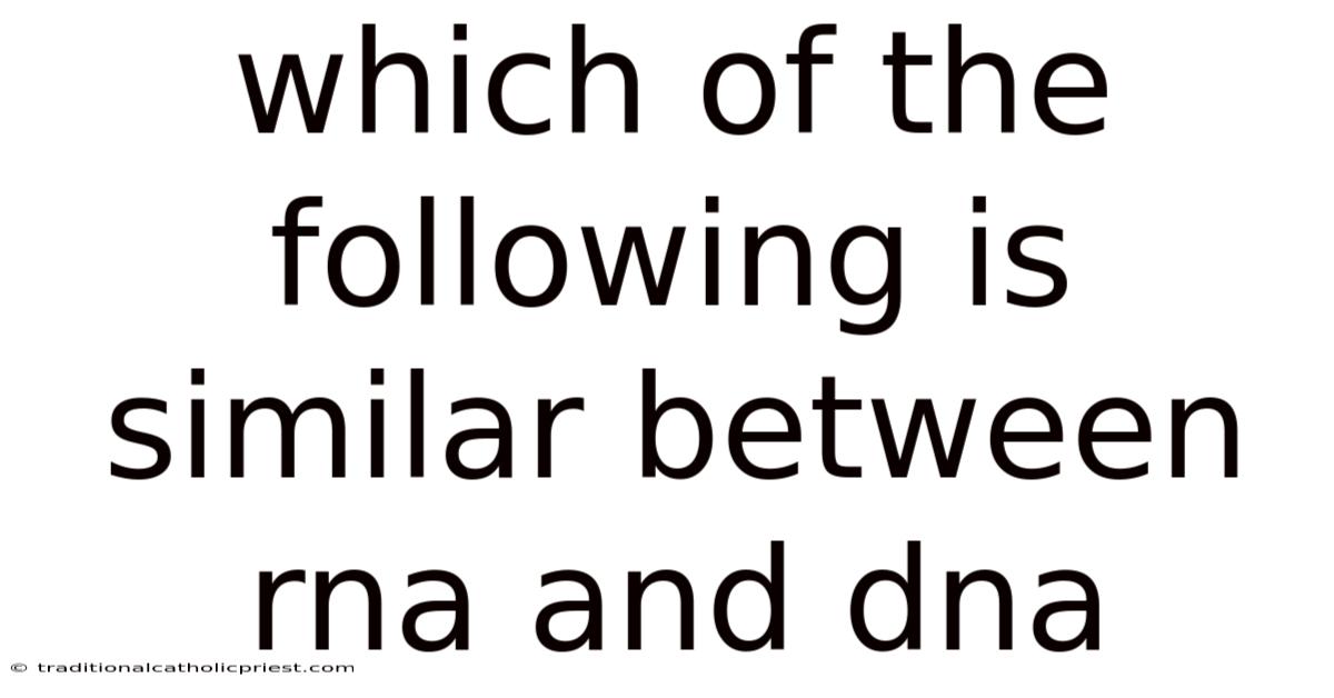 Which Of The Following Is Similar Between Rna And Dna
