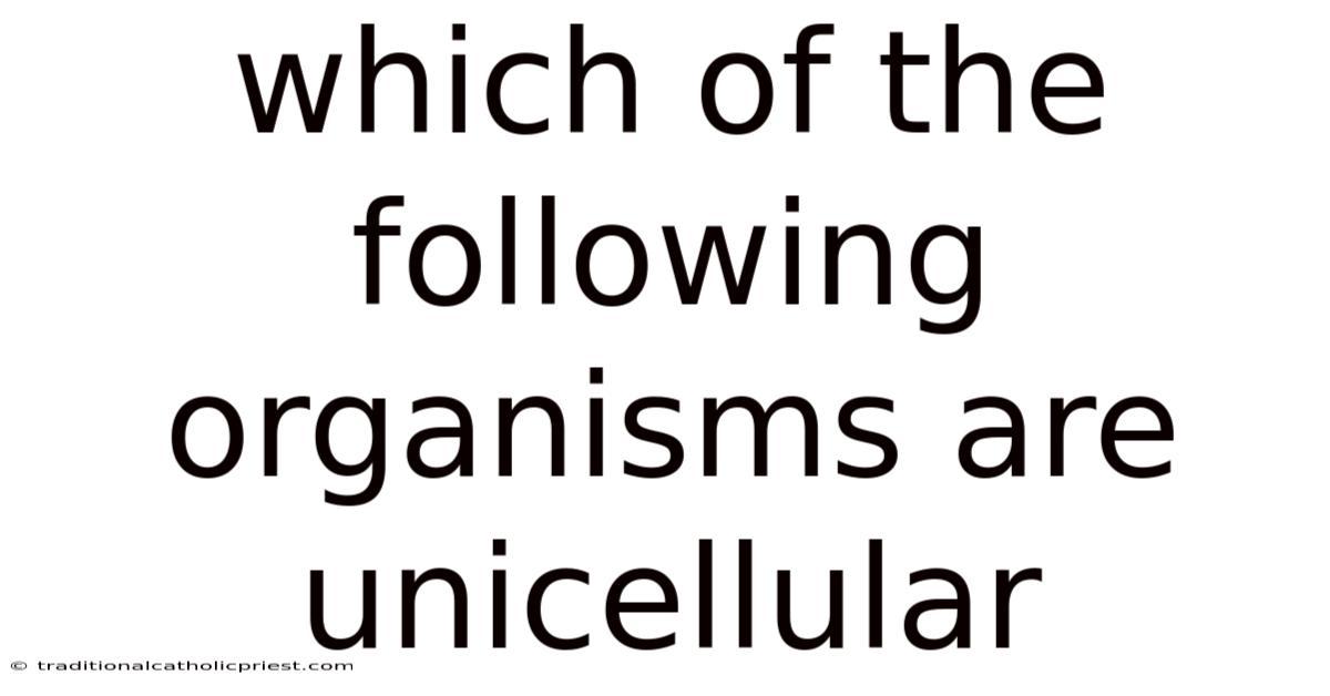 Which Of The Following Organisms Are Unicellular