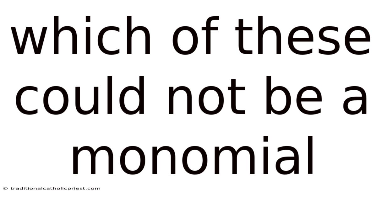 Which Of These Could Not Be A Monomial