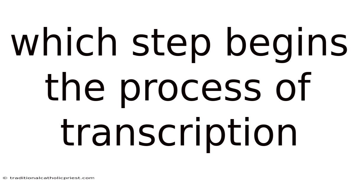 Which Step Begins The Process Of Transcription