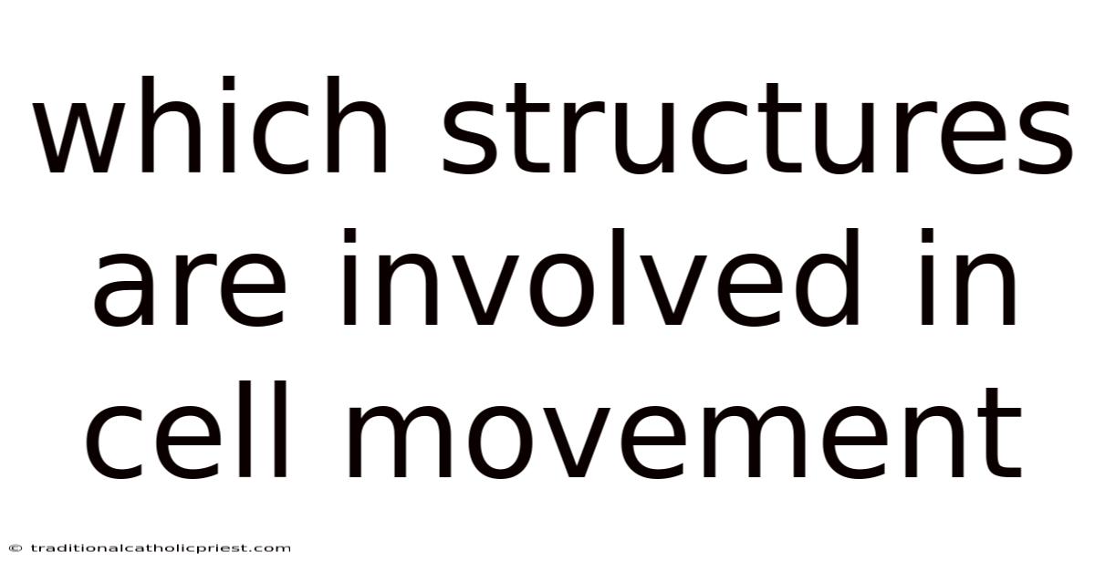 Which Structures Are Involved In Cell Movement