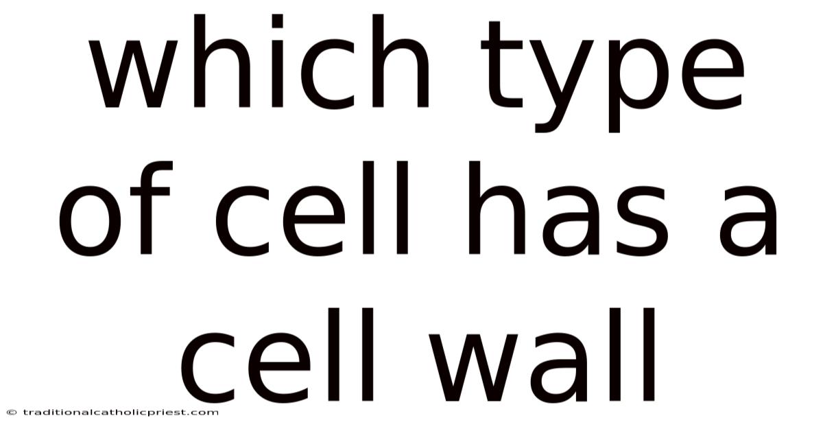 Which Type Of Cell Has A Cell Wall