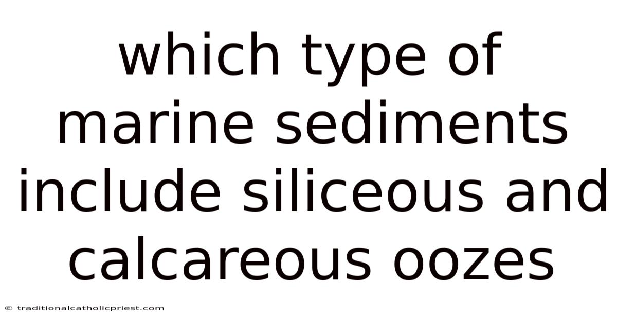 Which Type Of Marine Sediments Include Siliceous And Calcareous Oozes