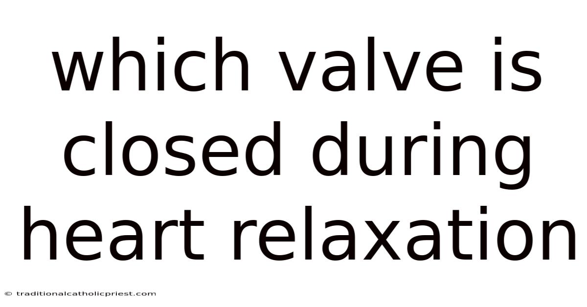Which Valve Is Closed During Heart Relaxation