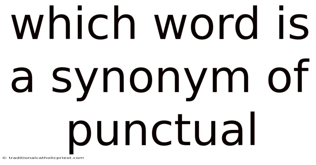 Which Word Is A Synonym Of Punctual