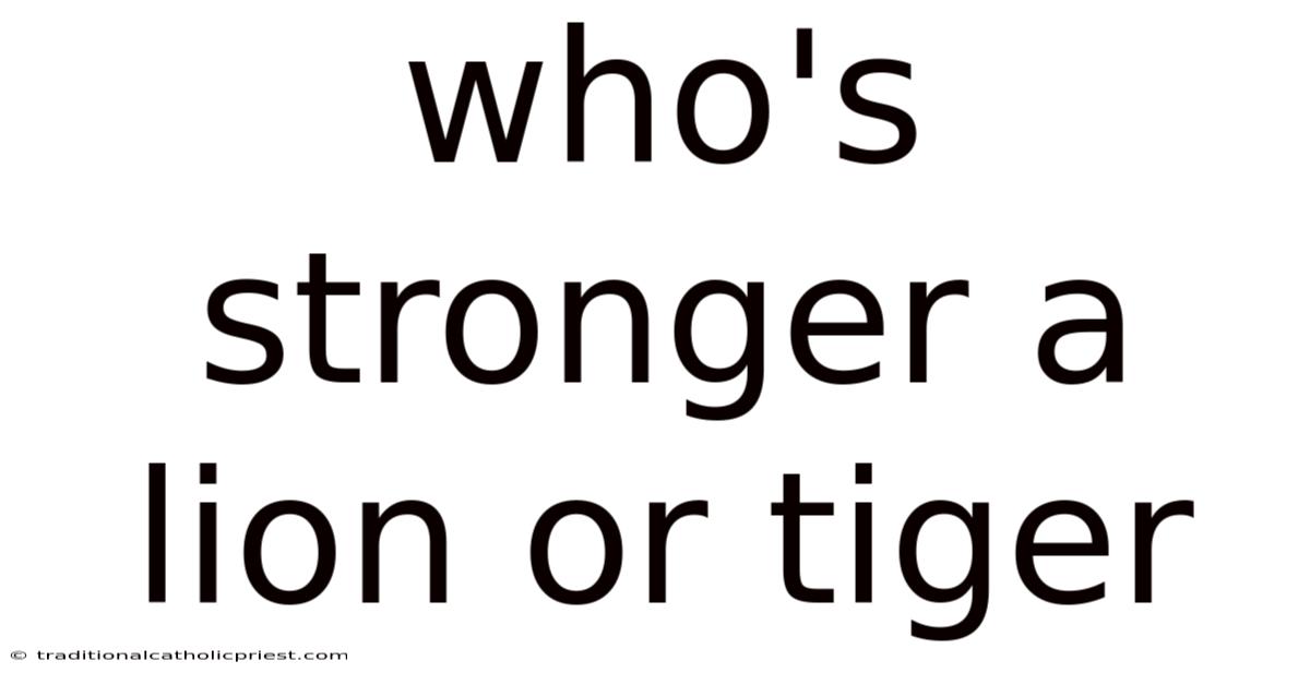Who's Stronger A Lion Or Tiger