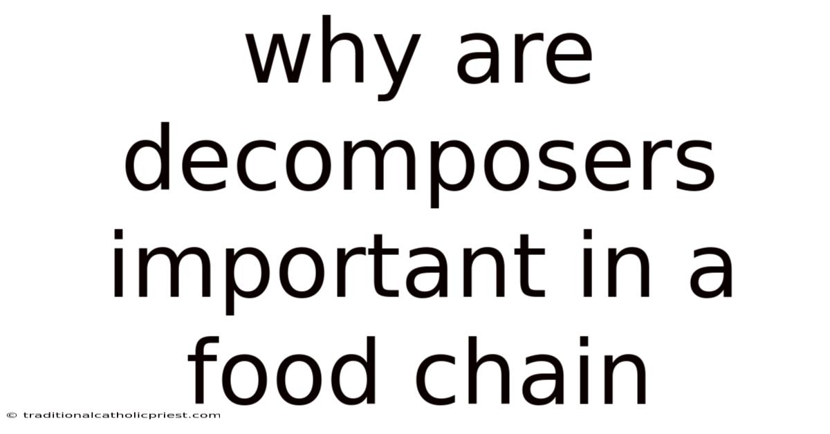 Why Are Decomposers Important In A Food Chain