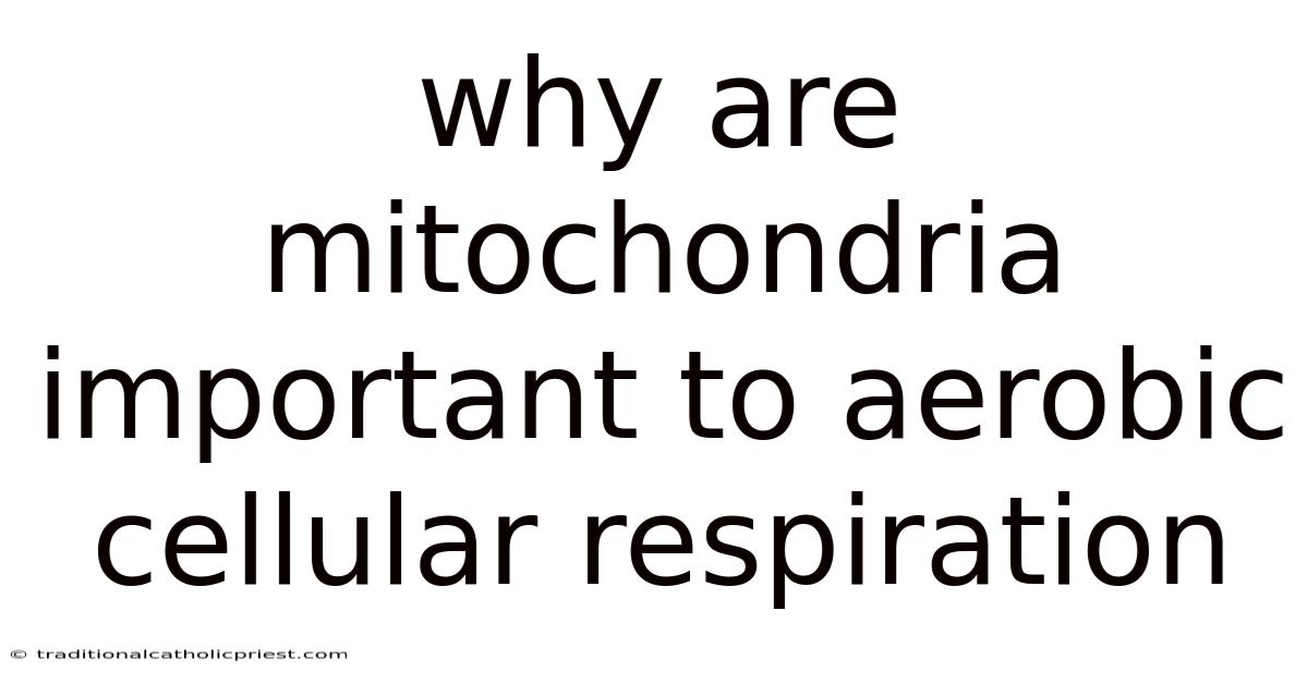 Why Are Mitochondria Important To Aerobic Cellular Respiration