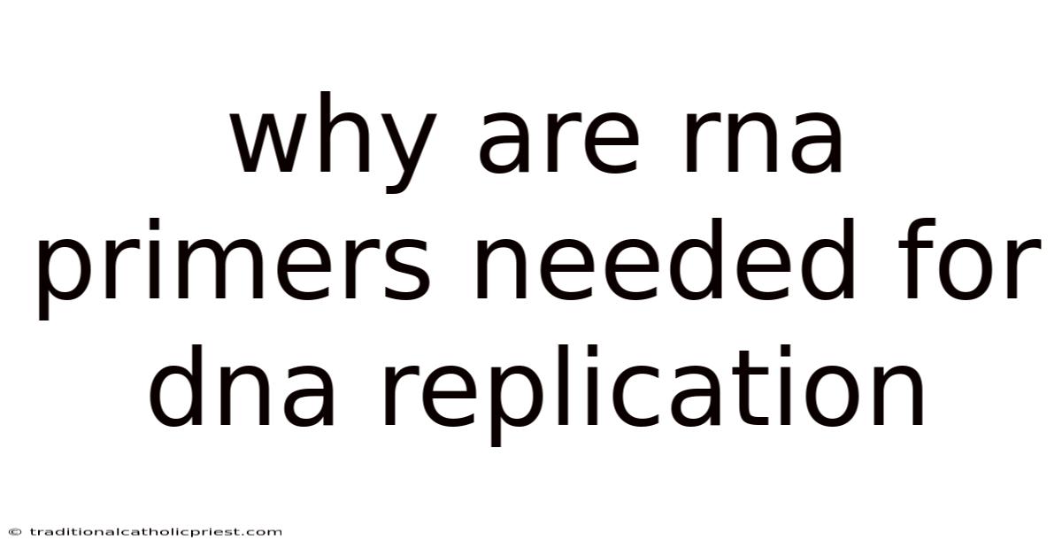 Why Are Rna Primers Needed For Dna Replication