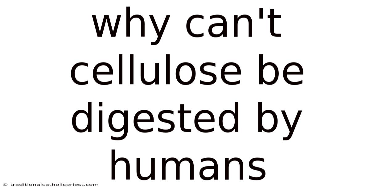 Why Can't Cellulose Be Digested By Humans