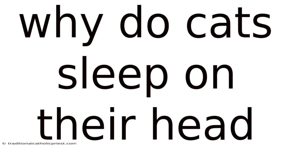 Why Do Cats Sleep On Their Head