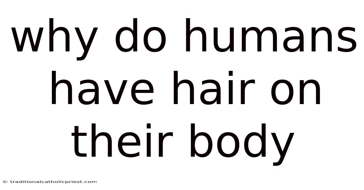 Why Do Humans Have Hair On Their Body