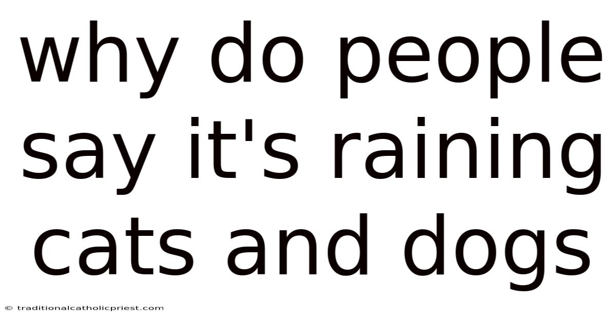 Why Do People Say It's Raining Cats And Dogs